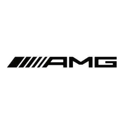 Mercedes-AMG dealer-grade diagnostics support